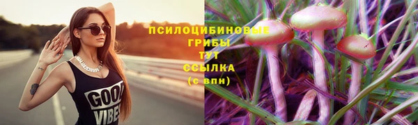 МДПВ Алзамай