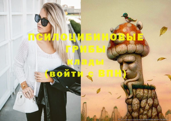 МДПВ Алзамай