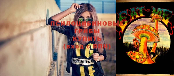 МДПВ Алзамай